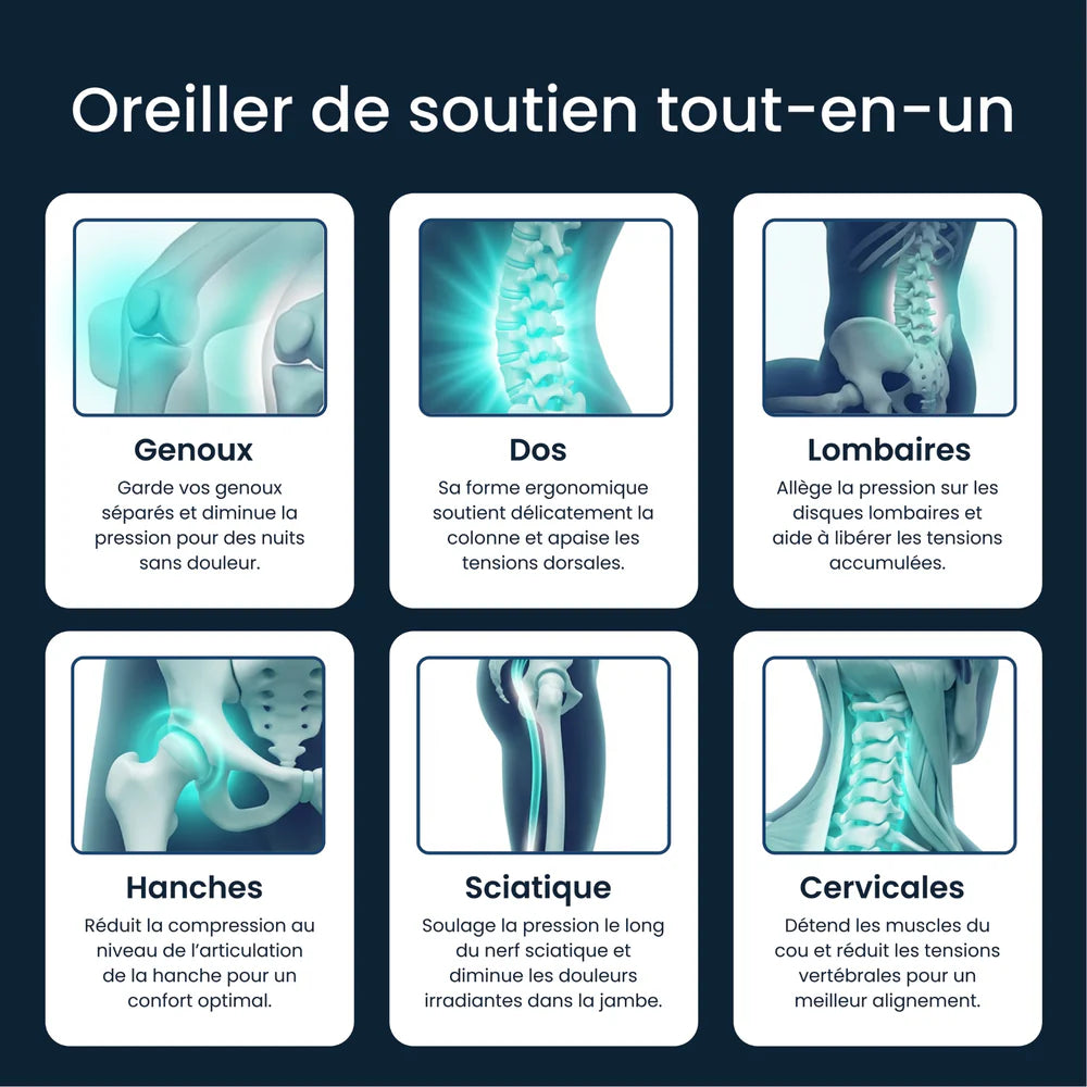 Coussin Lombaire Ergonomique Soya